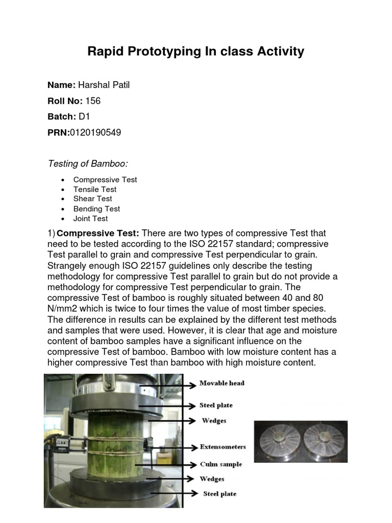 IT - D1 - 156 - Civil in Class Activity (Rapid Prototyping) | PDF ...