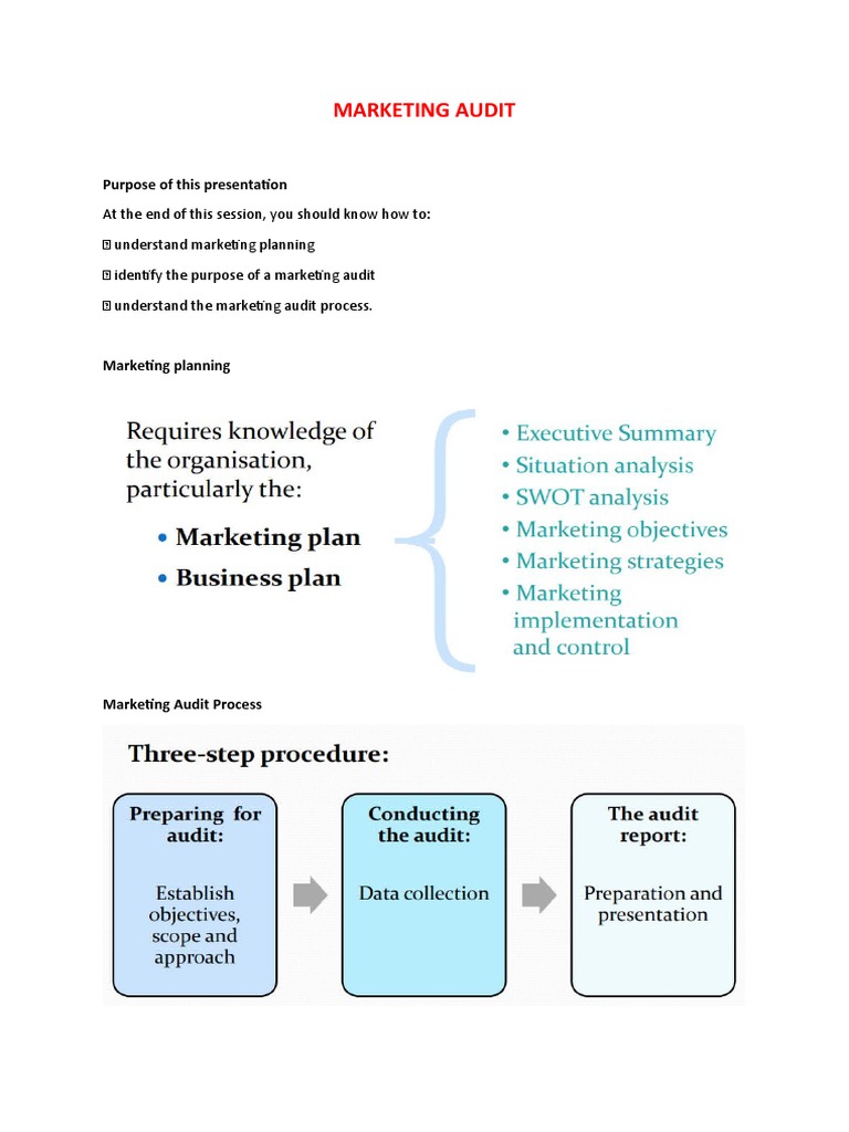 Marketing Audit: Purpose of This Presentation | PDF