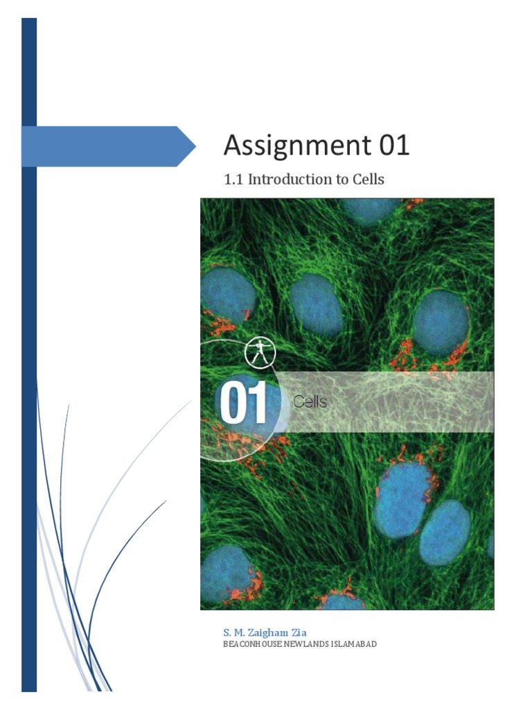 Cells: Functions and Differentiation | PDF | Cell Potency | Stem Cell