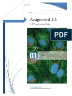 1.5 The Origin of Cells Worksheet