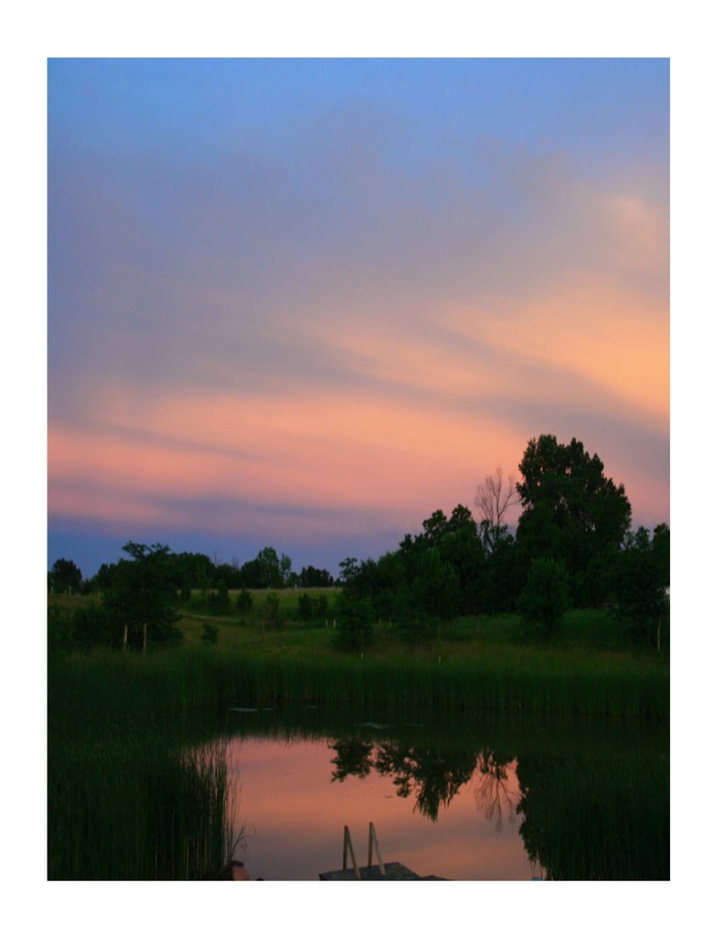 Sustainable Living at Dancing Rabbit | PDF