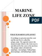 Marine Life Zones