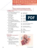 Cientic 9 - Ficha de avaliação diagnóstica