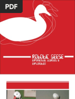 Download Robotic Geese Draft2 by artiscycle SN49486131 doc pdf
