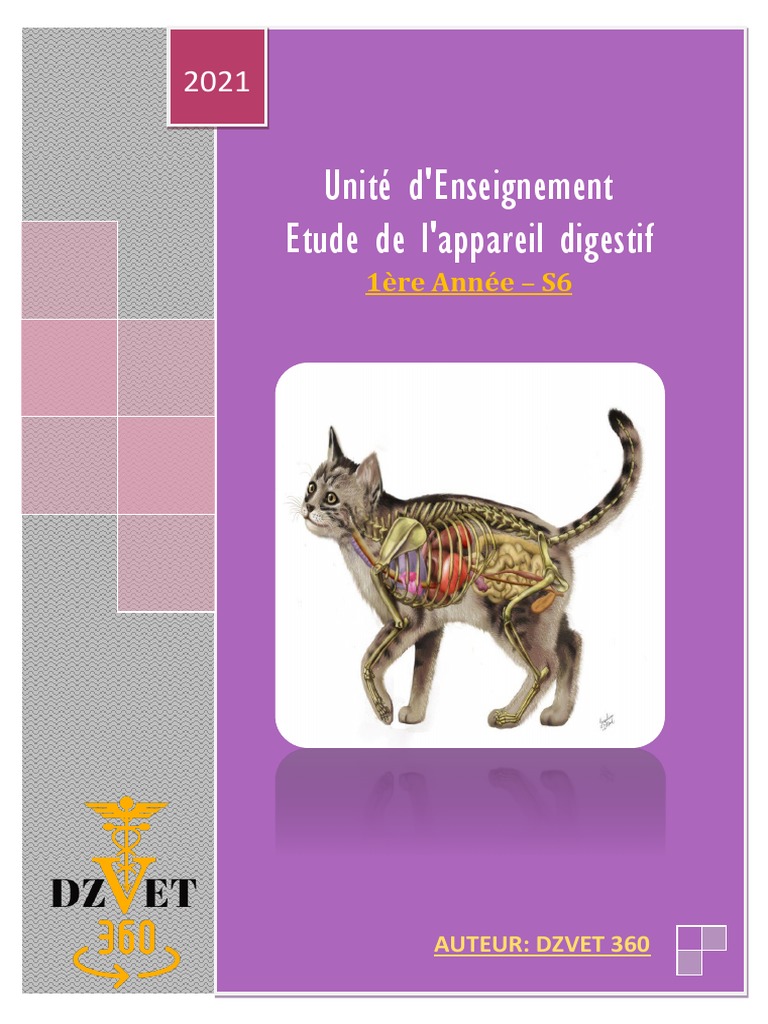Schéma Plan Sagittal De L animal Vertébré à Respiration Aérienne S6 - Etude de L'appareil Digestif - DZVET360-Cours-Veterinaires | PDF |  Langue | Bouche