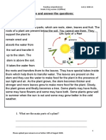 Plant Reading Comprehension-6.8.2020 (1)