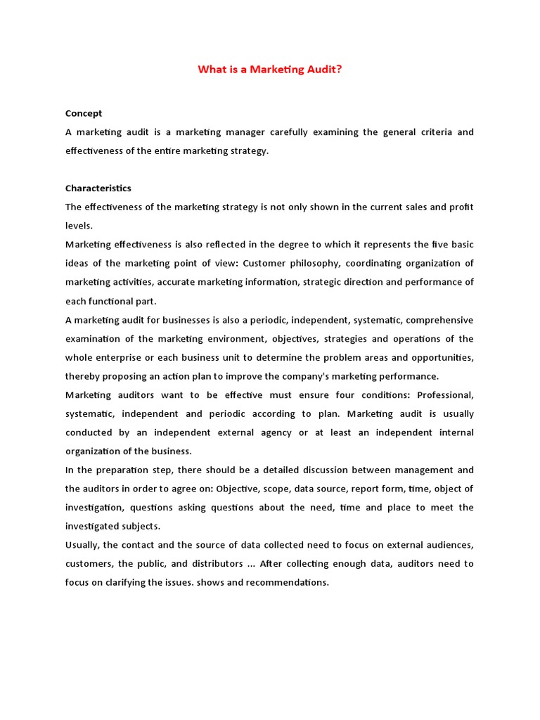 Understanding Marketing Audits Explained | PDF