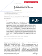 2019 - Hepatitis B Virus Large Surface Protein Is Primingfor Hepatocellular Carcinoma Development Via Inductionof Cytokinesis Failure