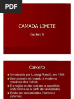 03 - camada limite