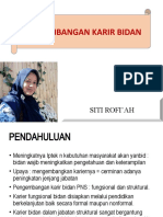 2. Pengembangan Karir Bidan