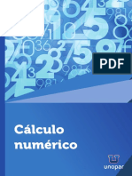 Calculo numerico