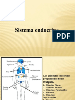 04 01 21 Sistema - Endocrino