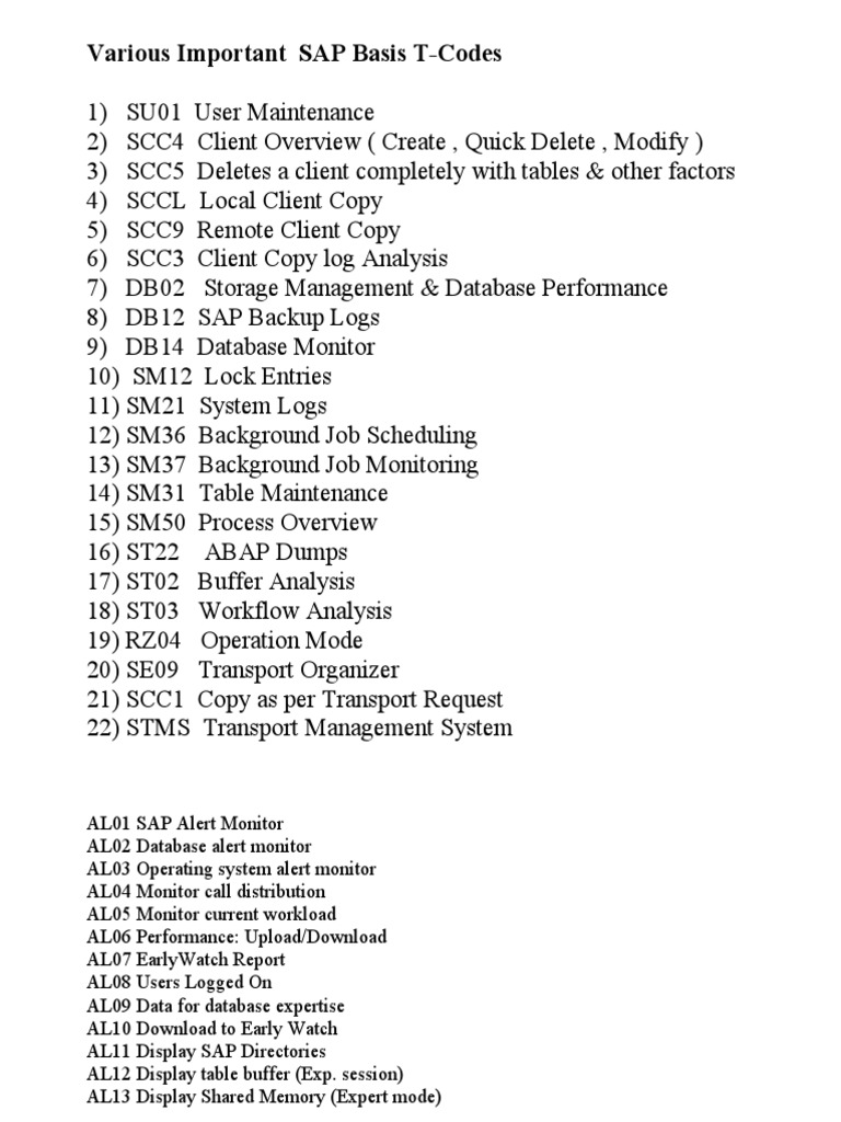 Essential SAP Basis T-Codes Overview | PDF | Databases | Information ...