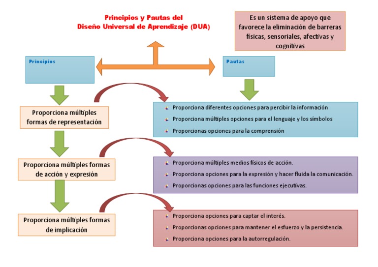 Principios y Pautas Del DUA | PDF
