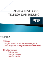 Review Histo Telinga dan Hidung