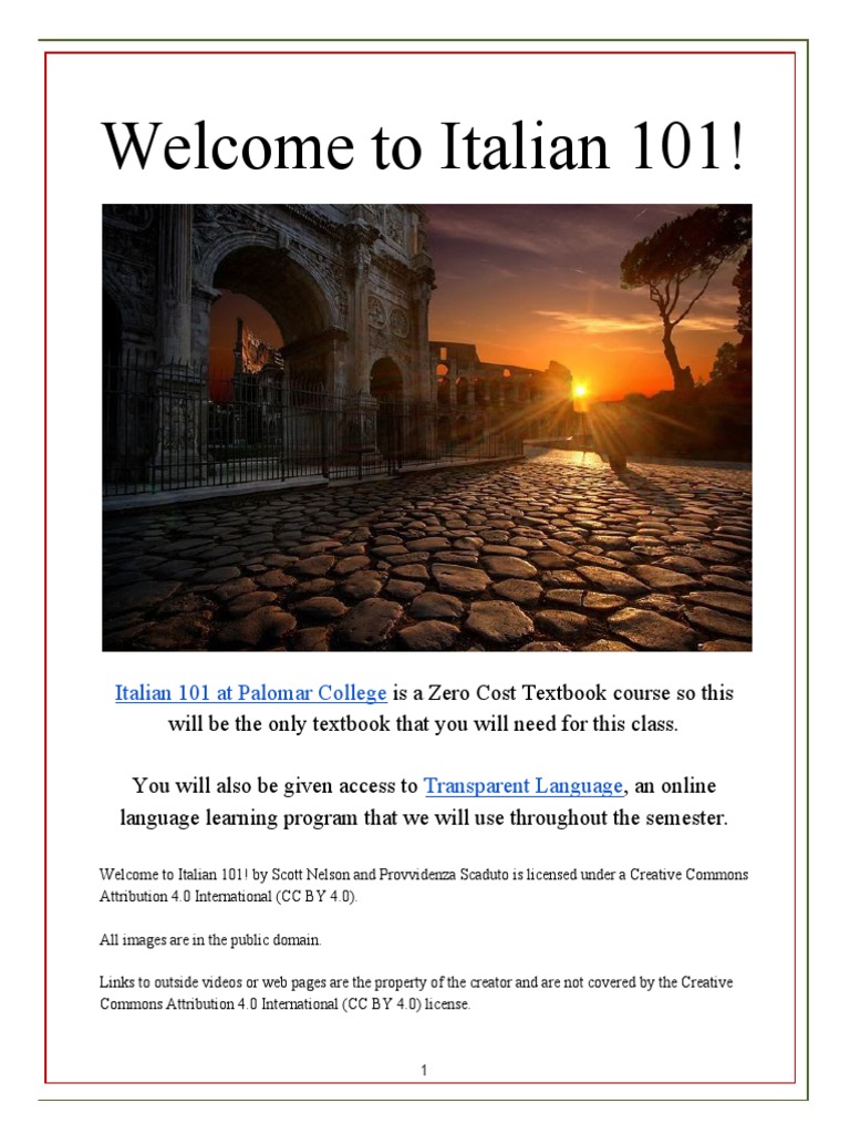 Italian 101: Beginner's Guide | PDF | Grammatical Gender | Grammatical ...