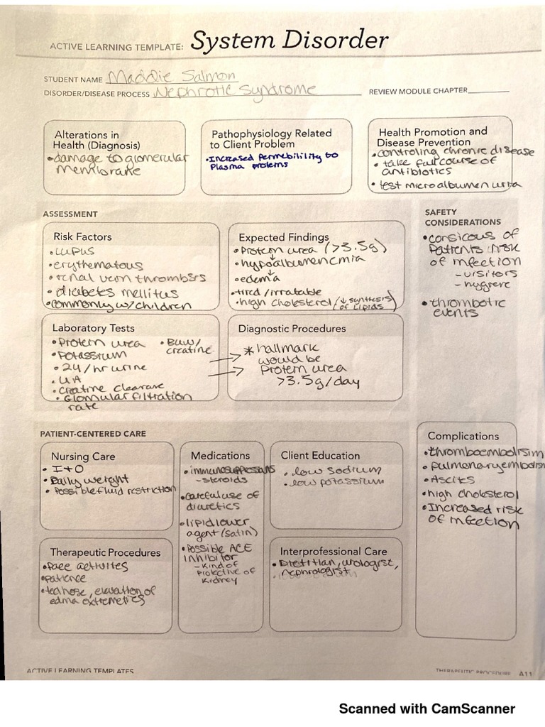 Nephrotic Syndrome Expected Lab Findings