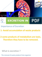 Excretion IGCSE