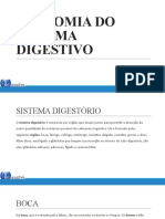 Anatomia Do Sistema Digestivo