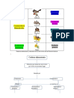 Cadenas Alimentarias