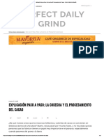 Explicación Paso A Paso - La Cosecha y El Procesamiento Del Cacao - Perfect Daily Grind Español