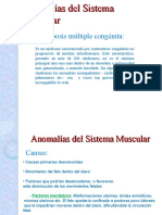 Tema 17.2 - Anomalías Del Sistema Muscular