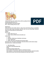 Otitis Eksterna