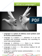 Basic Concepts About Language