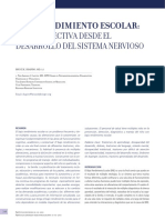 Bajo Rendimiento Escolar Una Perspectiva Desde El Desarrollo Del Sistema Nervioso - Copia