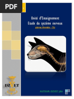 S8 Immunologie Medicale Dzvet360 Cours Veterinaires Pdf Recepteur De Type Toll Systeme Immunitaire