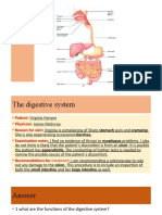 Digestive System2