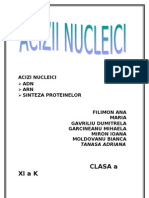 -Acizi nucleici