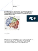 Fungsi Dan Bagian Pada Sistem Saraf Pusat Manusia