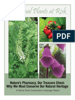 Medicinal Plants 042008 Lores