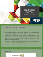 Endocrine System: LECTURER: Durrefishan Khillat