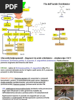 Droghe fenilpropanoidi-fenoli-tannini-flavnoidi