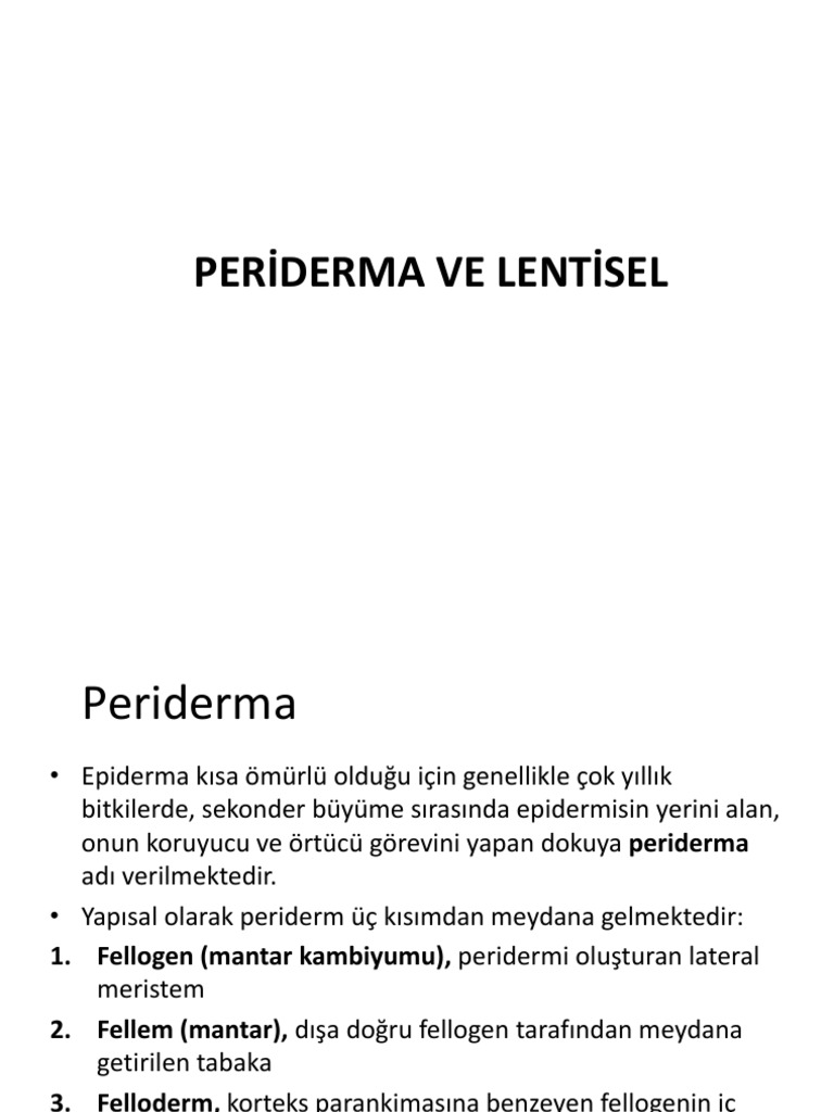 9 Periderma | PDF