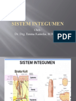 Sistem Integumen