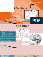 Anatomi Midbrain & Substansia Nigra