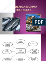 Materi-02 (Perubahan Struktur Daging)