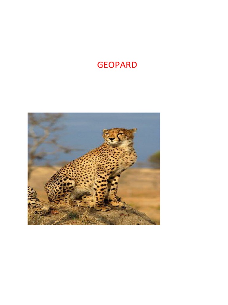 GEOPARD | PDF