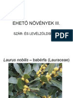 11 Eheto Szar, Level