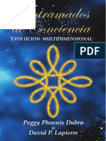 Entramados de Conciencia Evolucion Multidimensional