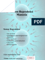 Sistem Reproduksi Manusia