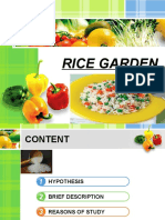 Rice Garden