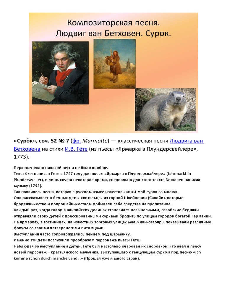 Белка Новогодняя Песня