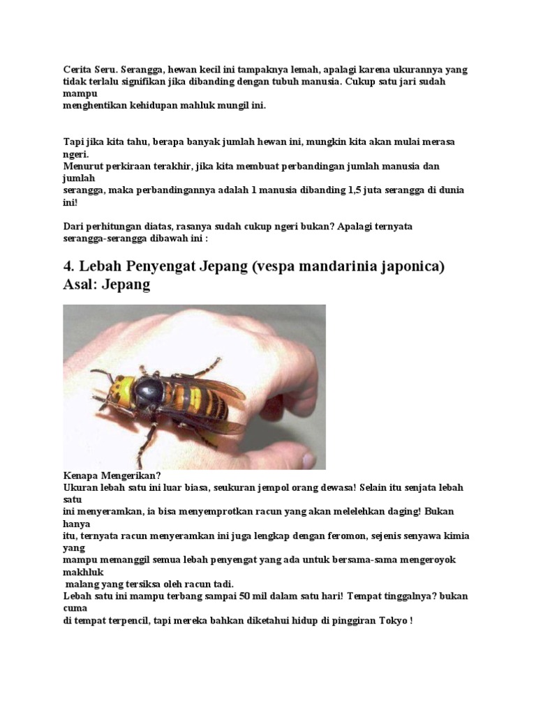 Cerita Serangga Paling Merbahaya