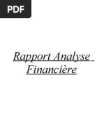 abc57f1158c58b16aaa98a92e632bdcc-RAPPORT-ANALYSE-FINANCIERE
