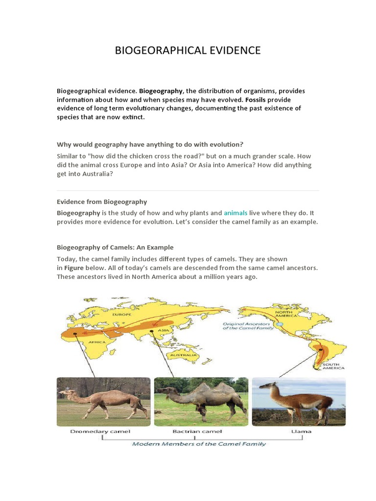 Biogeoraphical Evidence | PDF | Biogeography | Evolution