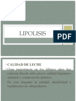 lipolisis